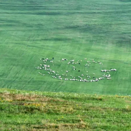 Myto Chopok, Tereza, Free Parking, Wifi شقة Mýto pod Ďumbierom