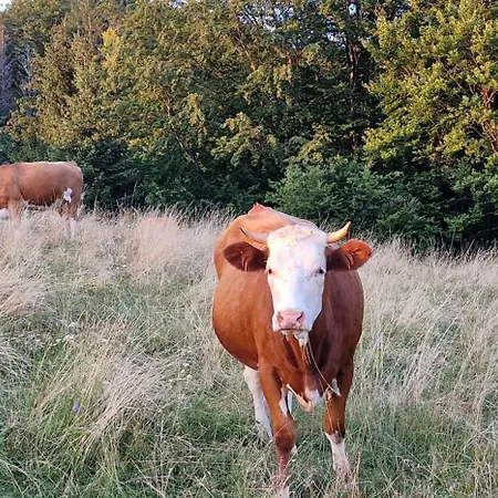 شقة Myto Chopok, Tereza, Free Parking, Wifi