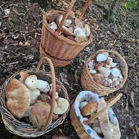 شقة Myto Chopok, Tereza, Free Parking, Wifi *