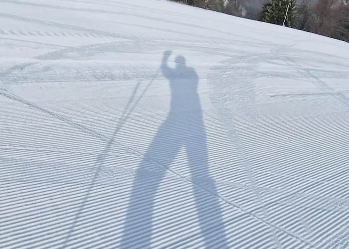 Lejlighed Myto Chopok, Tereza, Free Parking, Wifi