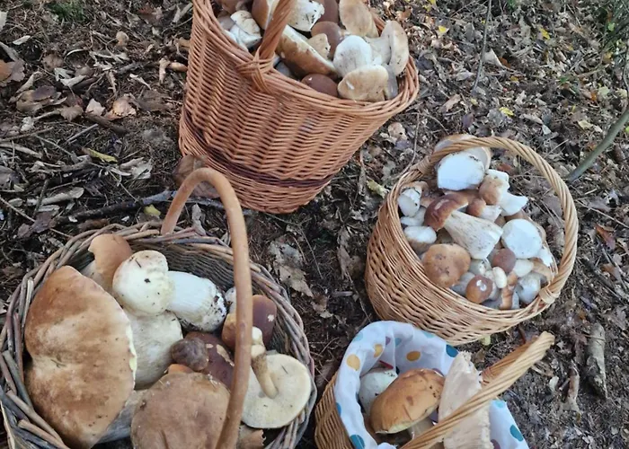 Lejlighed Myto Chopok, Tereza, Free Parking, Wifi *